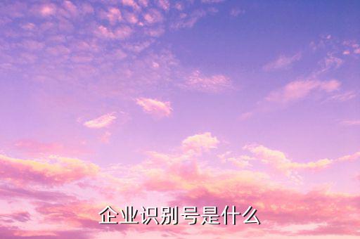 查詢公司什么納稅人識(shí)別號(hào)，納稅人識(shí)別號(hào)怎么查啊