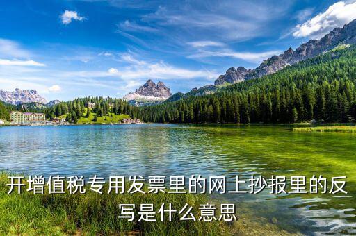開增值稅專用發(fā)票里的網(wǎng)上抄報(bào)里的反寫是什么意思