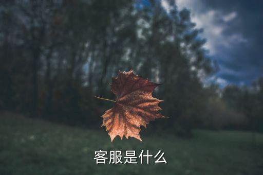 gs客服是什么，客服是什么