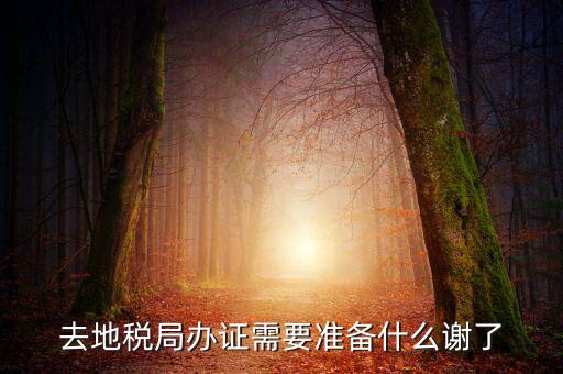 地稅局辦理什么，地稅局開發(fā)票需要辦什么手續(xù)