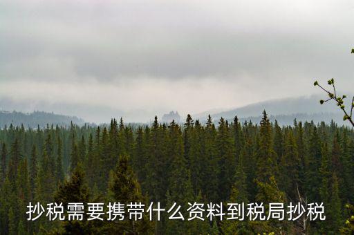 報稅查什么輔導(dǎo)信息，剛申請為一般納稅人在哪查看是否要經(jīng)過輔導(dǎo)期納稅申報初始化填5