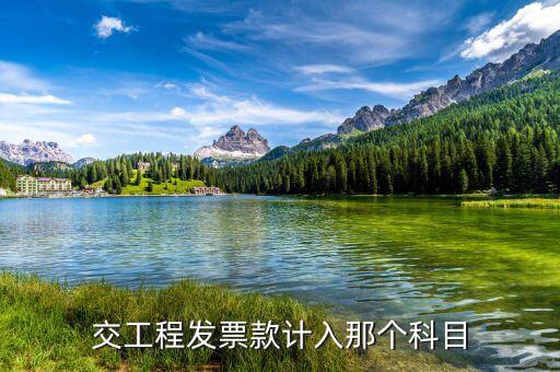 工程發(fā)票的單位是什么，開工程票是在國(guó)稅還是地稅代開