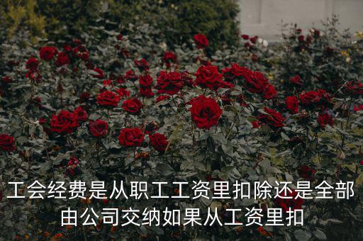 工會經費是從職工工資里扣除還是全部由公司交納如果從工資里扣