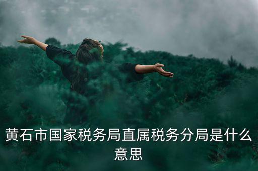 國稅直屬分局是什么局，國稅局是什么單位