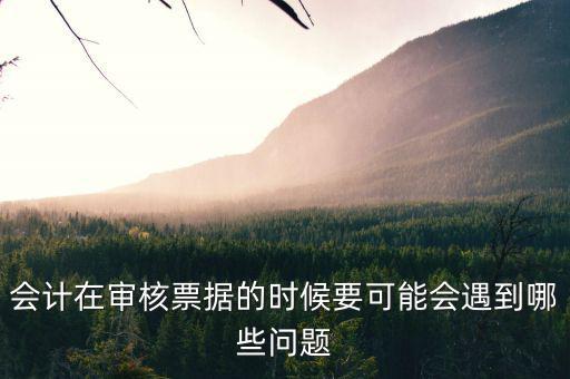 審核憑證會出什么問題，在審核憑證時出現(xiàn)這個問題是怎么回事