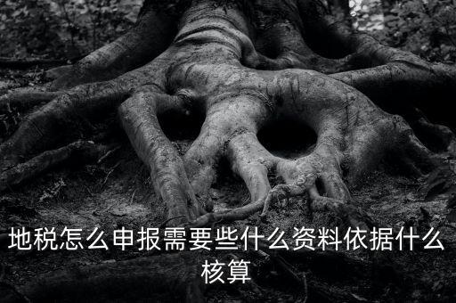 地稅根據(jù)什么申報，地稅怎么申報