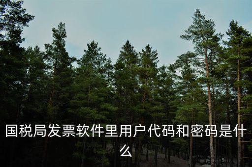 網(wǎng)絡(luò)發(fā)票 登錄密碼是什么，國稅局發(fā)票軟件里用戶代碼和密碼是什么