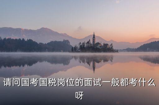 國稅標(biāo)兵人才考什么，國稅通用能力測試考什么