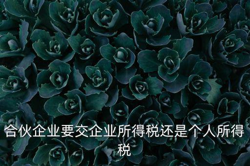 合伙企業(yè)要交企業(yè)所得稅還是個人所得稅