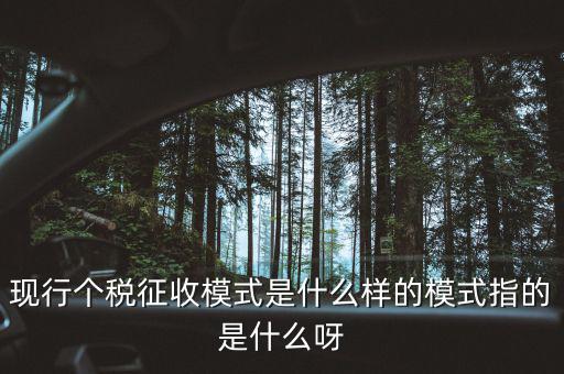 個人征稅系統(tǒng)是什么，你好補交個稅在稅局系統(tǒng)怎樣操作