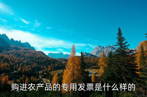 購(gòu)進(jìn)農(nóng)產(chǎn)品的專(zhuān)用發(fā)票是什么樣的