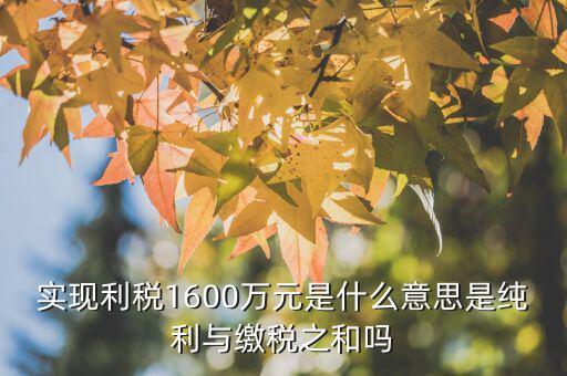 實現利稅1600萬元是什么意思是純利與繳稅之和嗎