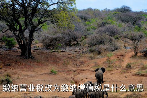 營業(yè)稅改為增值稅是什么意思，營業(yè)稅改增值稅指的是什么