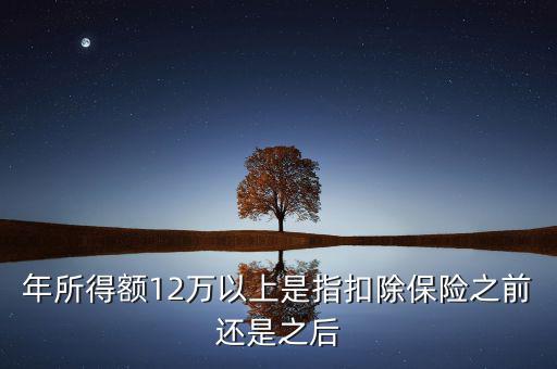 年所得12萬指的是什么，年所得12萬元以上是指什么