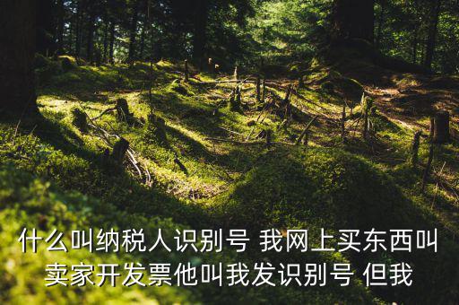 公司納稅識(shí)別號(hào)是什么意思，納稅人識(shí)別碼是什么