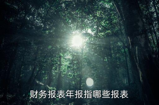 財(cái)務(wù)報表年報指哪些報表