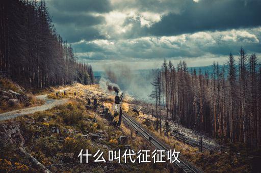 什么叫代征規(guī)費(fèi)，什么是規(guī)費(fèi)