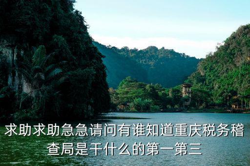 求助求助急急請問有誰知道重慶稅務稽查局是干什么的第一第三