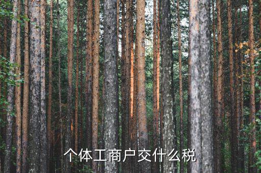 個(gè)體工商戶是什么稅，個(gè)體工商戶要納的稅包括哪些