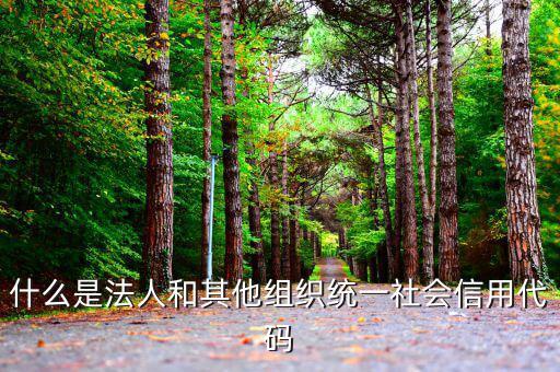 機關有社會信用代碼是什么意思，社會信用代碼與機構信用代碼有什么不同