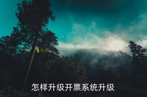 開票用什么軟件升級，怎樣升級開票系統(tǒng)升級