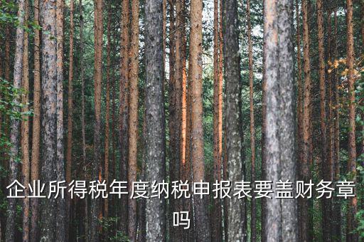 所得稅年報(bào)要蓋什么章，企業(yè)所得稅年度納稅申報(bào)表要蓋財(cái)務(wù)章嗎