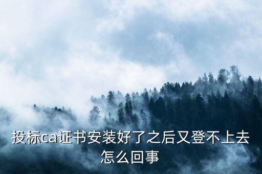 ca登陸不上是什么原因，登不上是怎么回事