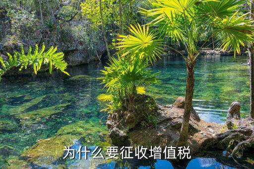 境外勞務(wù)為什么要交增值稅，為什么要交增值稅