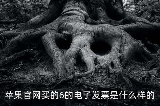 蘋果官網買的6的電子發(fā)票是什么樣的