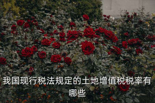 土地增值稅采用什么稅率，土地增值稅應(yīng)用于哪種稅率形式