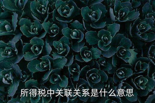 所得稅關聯(lián)表是什么意思，所得稅中關聯(lián)關系是什么意思