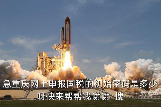 網(wǎng)上國稅申報的密碼是什么，急重慶網(wǎng)上申報國稅的初始密碼是多少呀快來幫幫我謝謝  搜