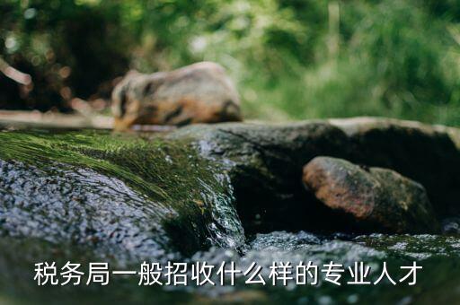 什么專業(yè)可進稅務(wù)所，稅務(wù)局一般招收什么樣的專業(yè)人才