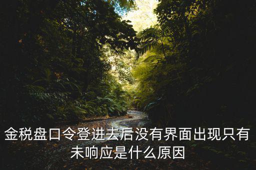 金稅盤口令登進(jìn)去后沒(méi)有界面出現(xiàn)只有未響應(yīng)是什么原因