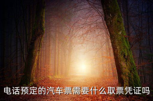 電話(huà)預(yù)定的汽車(chē)票需要什么取票憑證嗎