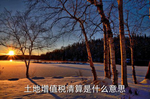 土地增值稅納稅清算什么意思，土地增值稅清算