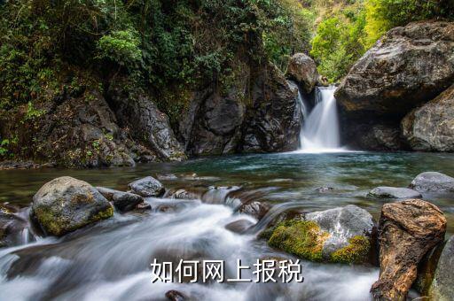 納稅申報在什么網(wǎng)上，如何網(wǎng)上稅務申報