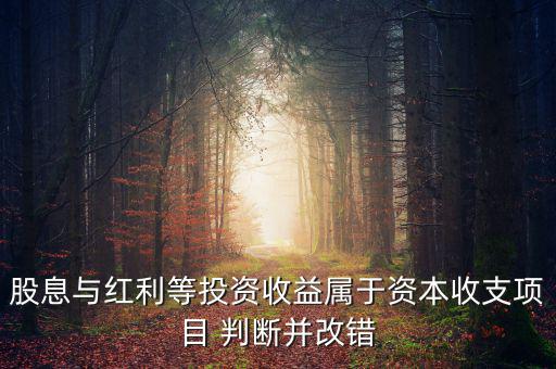 股息紅利等投資收益屬于什么，股息與紅利等投資收益屬于資本收支項目 判斷并改錯