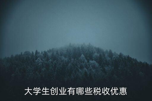 學(xué)校有什么稅收優(yōu)惠，大學(xué)生創(chuàng)業(yè)有哪些稅收優(yōu)惠