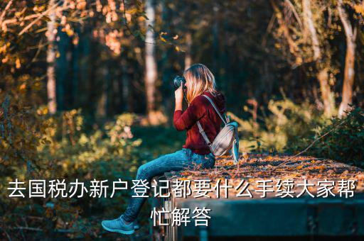 國(guó)稅局登記要什么手續(xù)，去國(guó)稅辦新戶登記都要什么手續(xù)大家?guī)兔獯?/></a></span><span id=