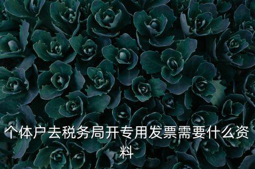 個(gè)體戶開(kāi)專票需要什么，個(gè)體在國(guó)稅局開(kāi)增值稅專用發(fā)票需要什么資料