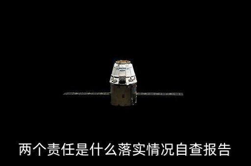 兩個責(zé)任是什么落實(shí)情況自查報告