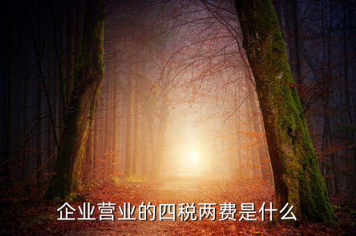 國稅的兩費是什么，什么是一稅兩費申報