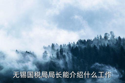 無錫地稅局長接待日是什么，無錫國稅局局長能介紹什么工作
