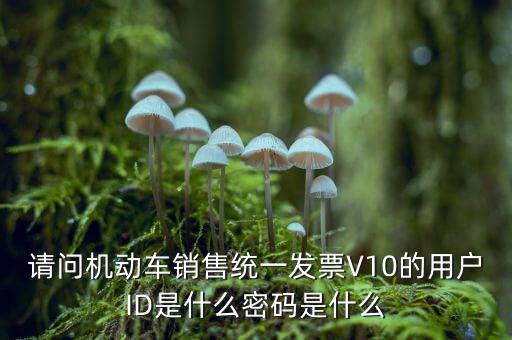 發(fā)票登錄密碼是什么，國稅局發(fā)票軟件里用戶代碼和密碼是什么