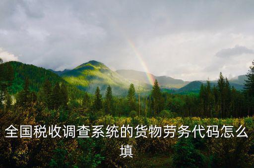 商品和勞務(wù)編碼是什么，貨物勞務(wù)代碼如何填