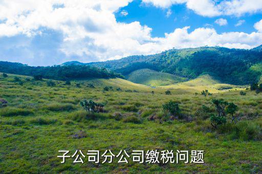 子公司繳稅在什么地方，子公司分公司繳稅問題
