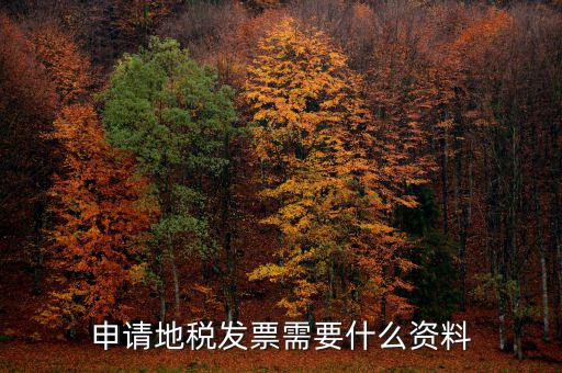 地稅局開票需要帶什么，申請(qǐng)地稅發(fā)票需要什么資料
