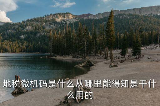 地稅登入碼是什么，地稅管理碼與稅號是同一個嗎我想知道稅務登記證上的稅字XXXXX