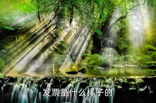 普票是什么樣子，發(fā)票是什么樣子的